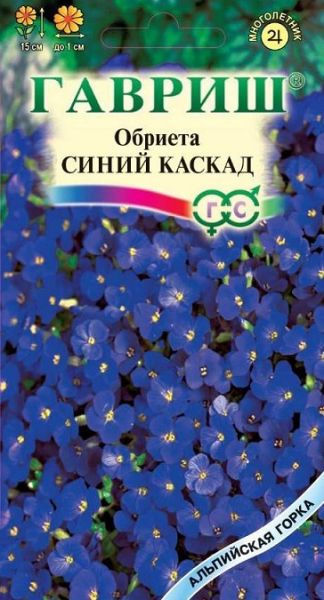 Многолетник Обриета Синий каскад Альпийская горка Гавриш