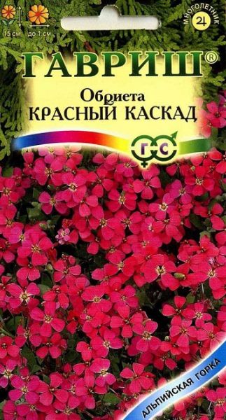 Многолетник Обриета Красный каскад Альпийская горка Гавриш