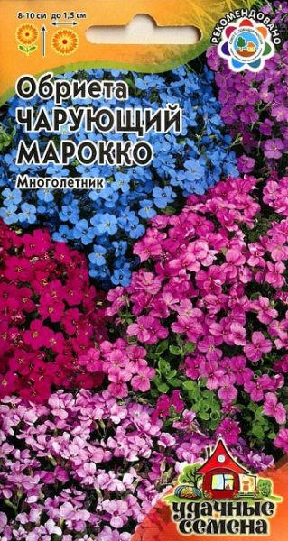 Многолетник Обриета Чарующий Марокко Уд.с. Гавриш