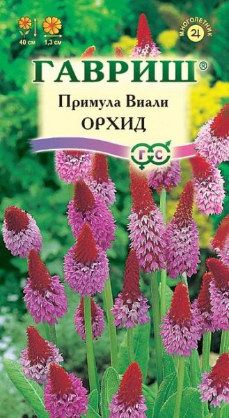 Многолетник Примула Виали Орхид Гавриш
