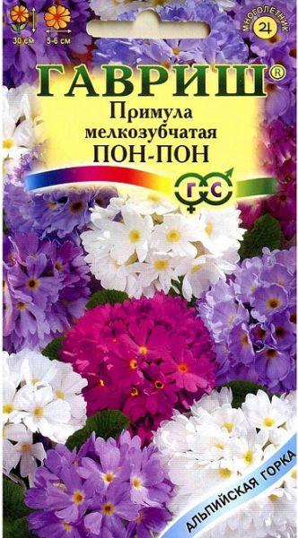 Многолетник Примула Пон-пон Альпийская горка Гавриш