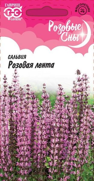 Многолетник Сальвия Розовая лента Розовые сны Гавриш