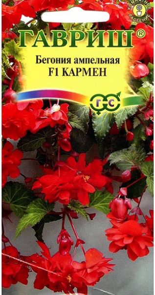 Комнатные Бегония Кармен F1 Гавриш