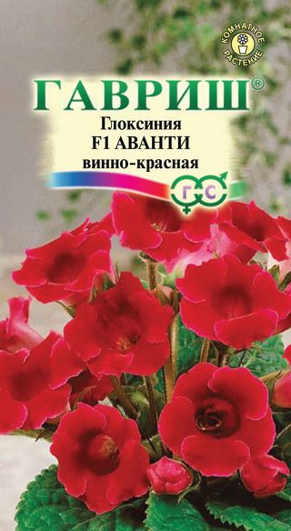 Комнатные Глоксиния Аванти винно-красная F1 гранул. Эксклюзив Гавриш