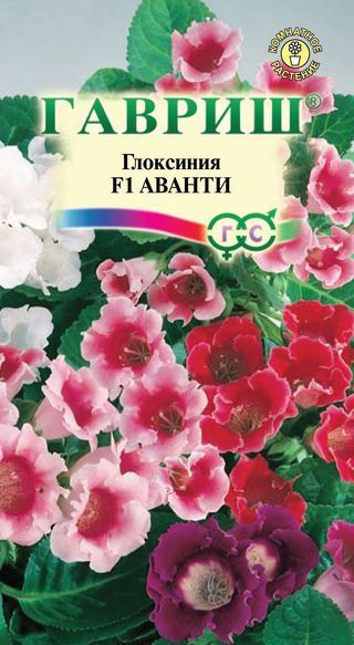 Комнатные Глоксиния Аванти F1 гранул. Эксклюзив Гавриш
