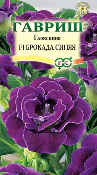 Комнатные Глоксиния Брокада синяя F1 Гавриш