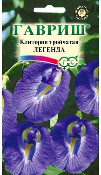 Комнатные Клитория тройчатая Легенда Гавриш