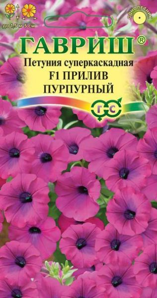 Однолетник Петуния Прилив Пурпурный F1 (Минитуния) суперкаскад гранул. проб. Элитная клумба Н14 Гавриш
