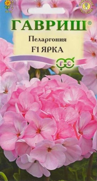 Комнатные Пеларгония Ярка F1 зональная Гавриш