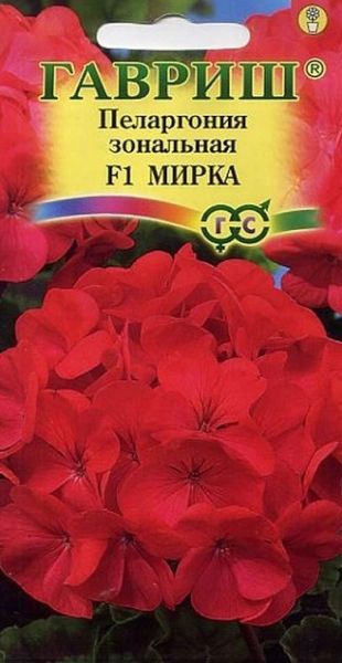 Комнатные Пеларгония Мирка F1 зональная Гавриш