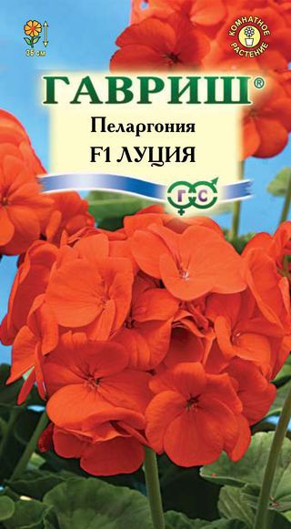 Комнатные Пеларгония Луция F1 зональная Гавриш