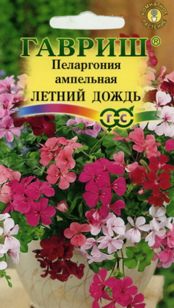 Комнатные Пеларгония Летний дождь ампельная смесь Гавриш