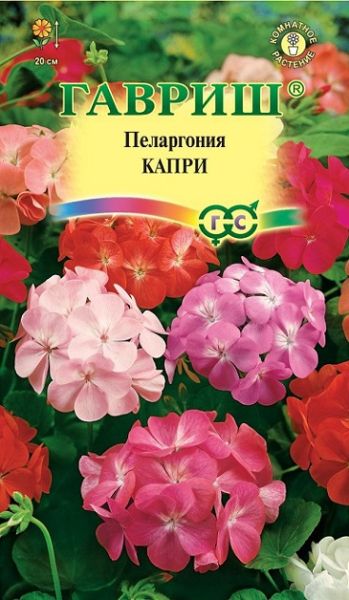 Комнатные Пеларгония Капри F2 зональная Гавриш