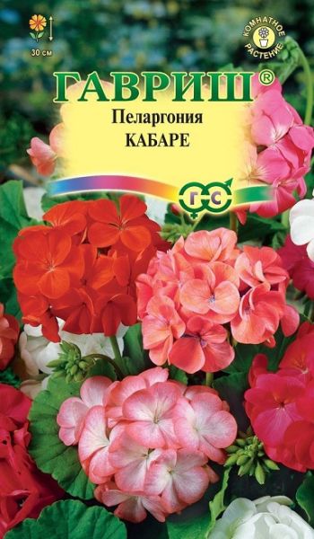 Комнатные Пеларгония Кабаре F2 зональная Гавриш