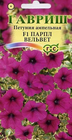 Однолетник Петуния Парпл Вельвет (Сурфиния) амп. Пробирка Гавриш