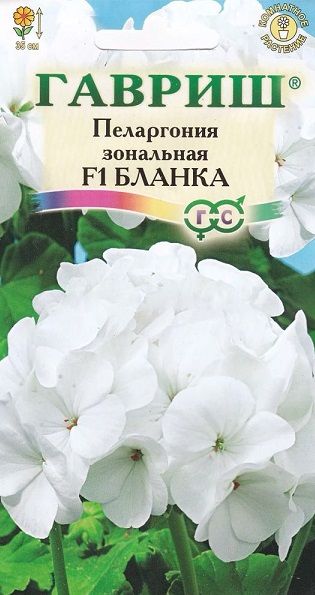 Комнатные Пеларгония Бланка F1 зональная Гавриш