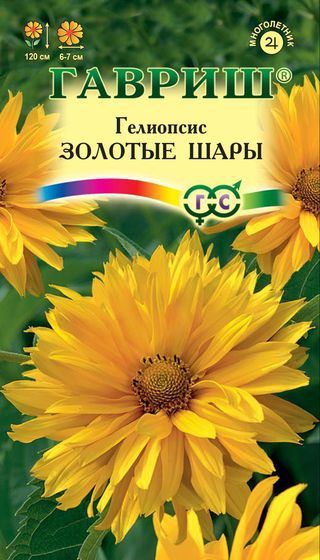 Многолетник Гелиопсис шероховатый Золотые шары Гавриш
