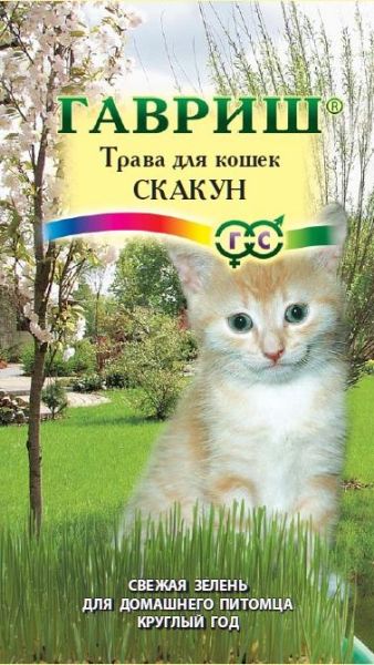 Трава для кошек Скакун Гавриш