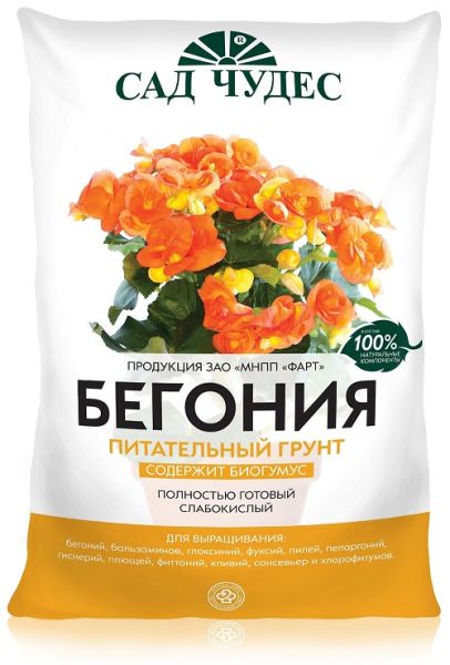 Грунт Бегония Сад Чудес