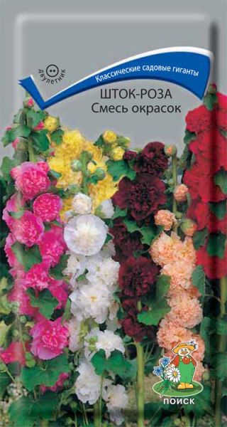 Двулетник Шток-роза Смесь окрасок ЦВ Поиск