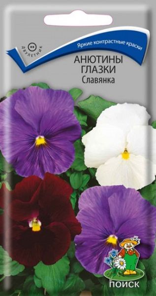 Двулетник Анютины глазки Славянка ЦВ Поиск