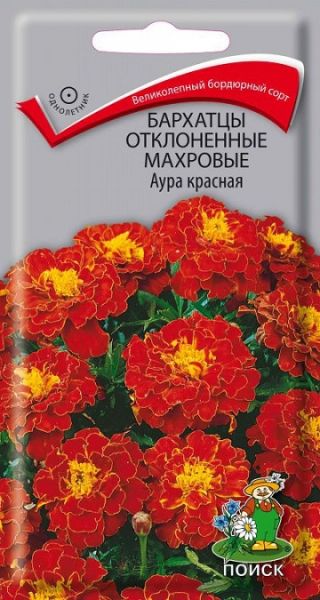 Однолетник Бархатцы откл. махр. Аура красная ЦВ Поиск