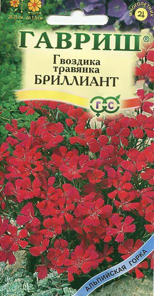 Многолетник Гвоздика травянка Бриллиант Альпийская горка Гавриш