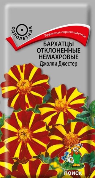 Однолетник Бархатцы отклоненные Джолли Джестер ЦВ Поиск
