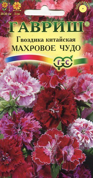 Однолетник Гвоздика китайская Махровое чудо смесь Гавриш