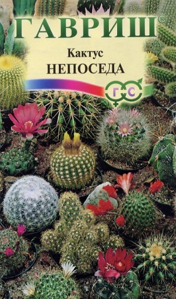 Комнатные Кактус Непоседа смесь Гавриш