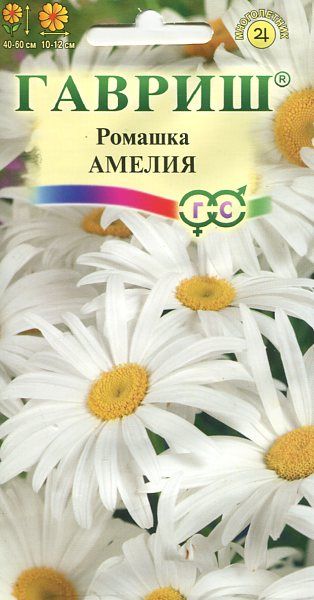Многолетник Ромашка Амелия Гавриш