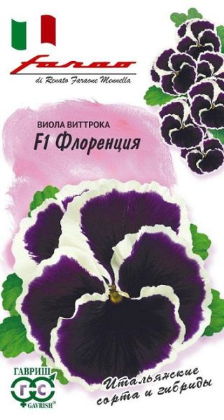 Двулетник Виола Флоренция F1 Виттрока Фарао Гавриш