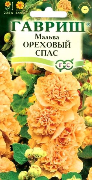 Двулетник Мальва Ореховый спас Гавриш
