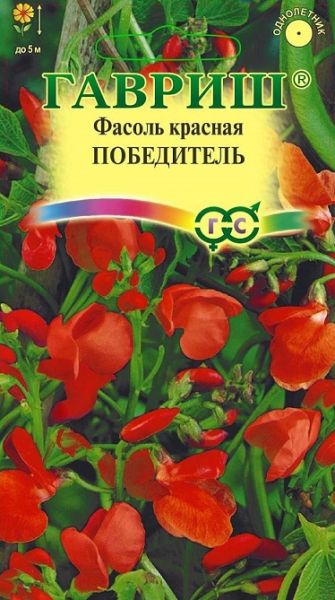 Однолетник Фасоль декоративная Победитель Гавриш
