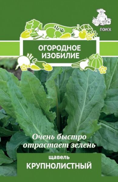 Щавель КРУПНОЛИСТНЫЙ ОИ Поиск