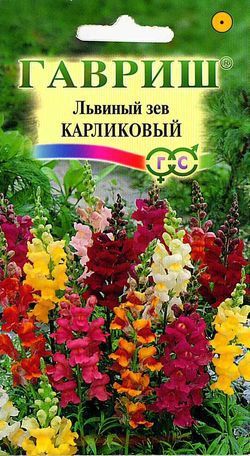 Однолетник Львиный зев карликовый смесь Гавриш