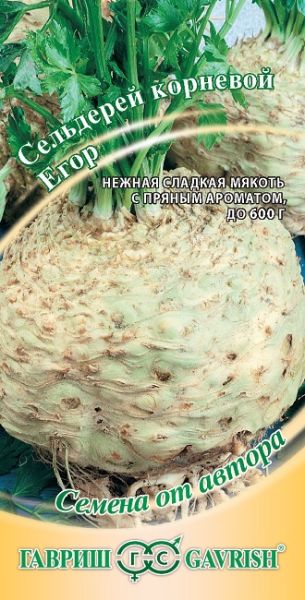 Сельдерей корневой ЕГОР автор Гавриш