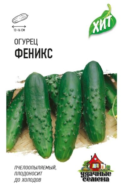 Огурец ФЕНИКС ХИТх3 Гавриш