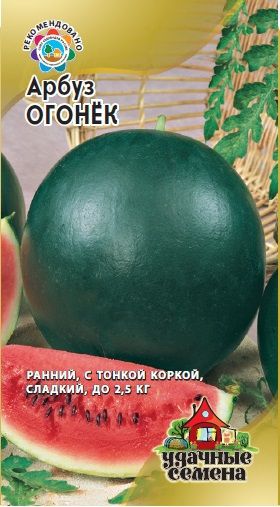 Арбуз ОГОНЕК Уд.с. Гавриш