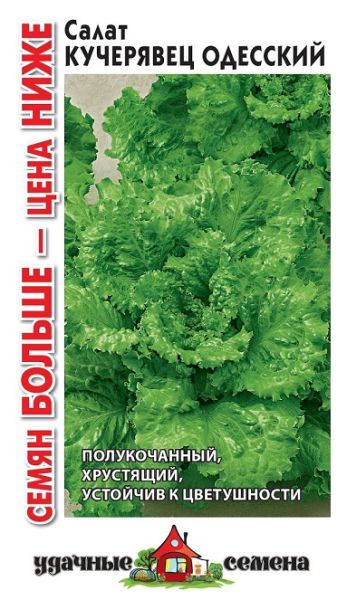 Салат листовой КУЧЕРЯВЕЦ ОДЕССКИЙ Уд.с. Семян больше Гавриш