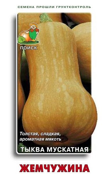 Тыква ЖЕМЧУЖИНА ЦВ Поиск