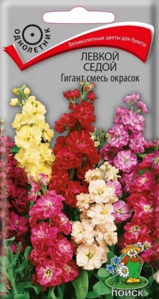 Однолетник Левкой Седой Гигант смесь окрасок ЦВ Поиск