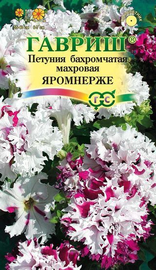Однолетник Петуния Яромнерже (Фриллитуния ) пробирка Гавриш