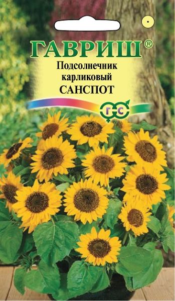 Однолетник Подсолнечник карликовый Санспот Гавриш