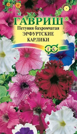 Однолетник Петуния Эрф.карлики бахр. Проб. Гавриш