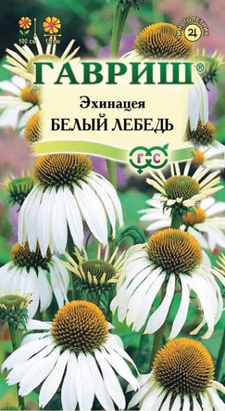 Многолетник Эхинацея Белый Лебедь Гавриш