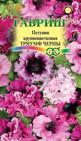 Однолетник Петуния Триумф Черны бахромч. Пробирка Гавриш