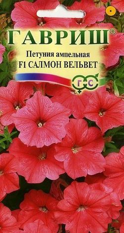 Однолетник Петуния Салмон Вельвет (Сурфиния) амп. Пробирка Гавриш