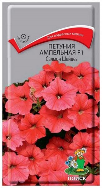 Однолетник Петуния ампельная F1 Салмон Шейдез ЦВ Поиск