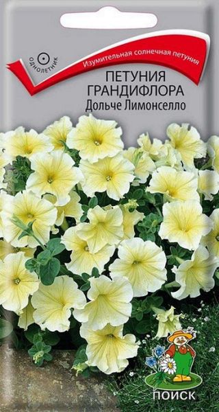 Однолетник Петуния грандифлора Дольче Лимонселло ЦВ Поиск